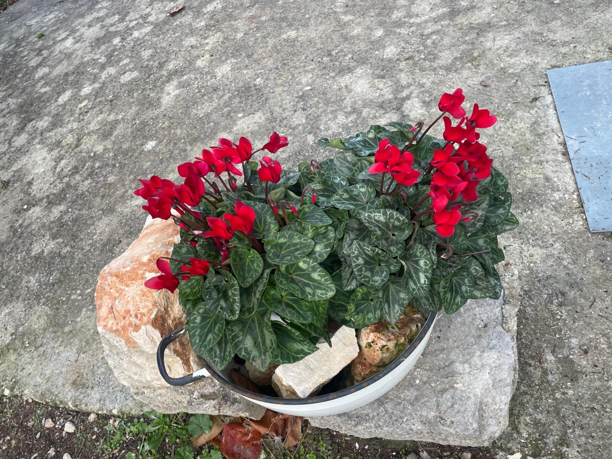Vila Il Trullo Di Nonno Licchio Alberobello Exteriér fotografie