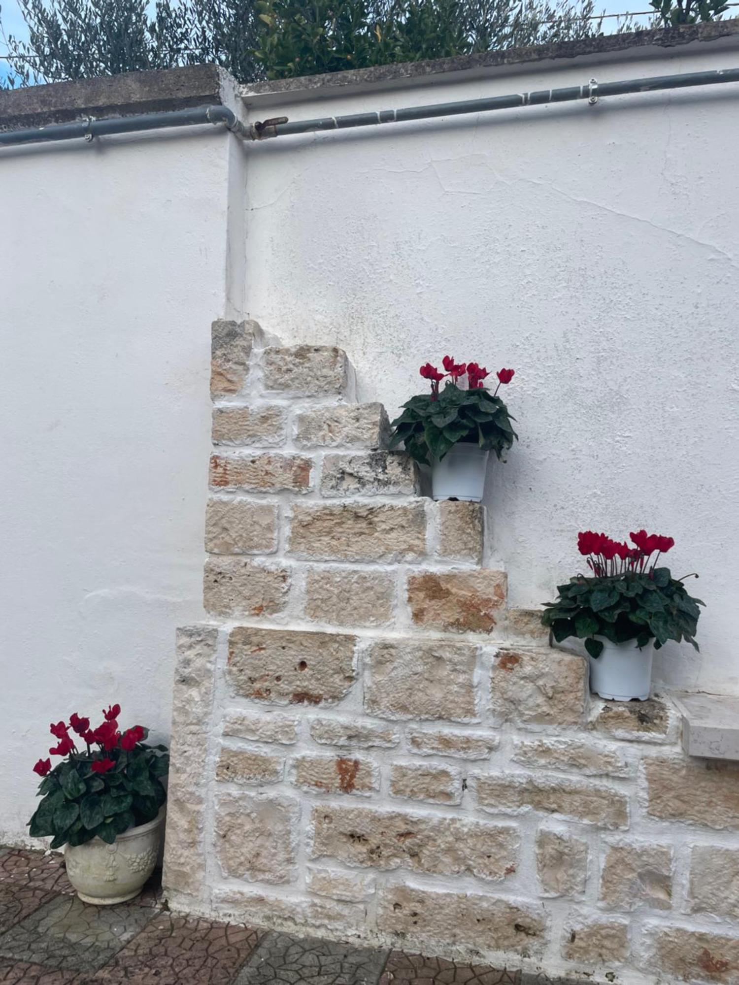 Vila Il Trullo Di Nonno Licchio Alberobello Exteriér fotografie